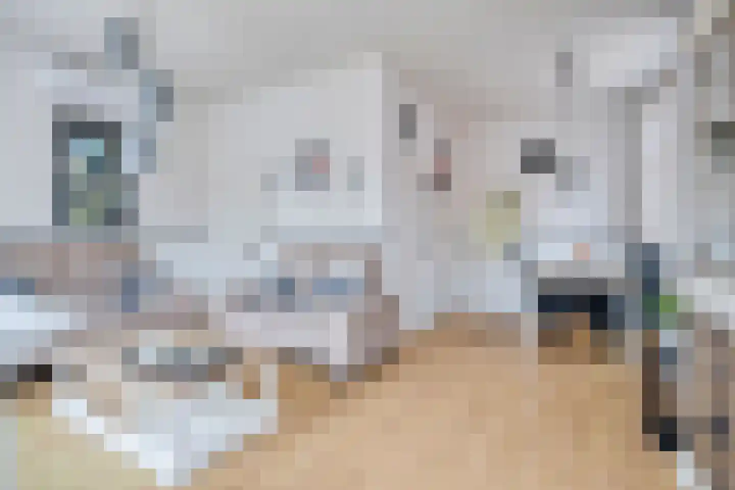 Semskade 39 Stadskanaal thumbnail 13