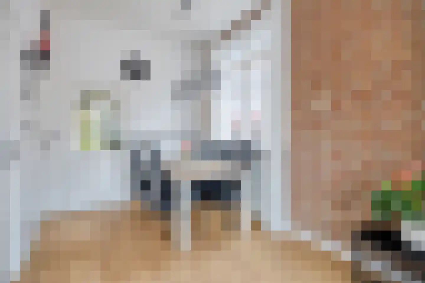 Semskade 39 Stadskanaal thumbnail 15