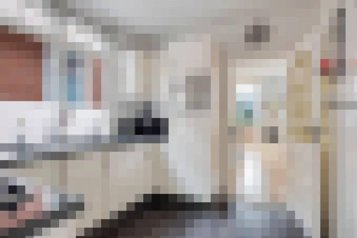 Semskade 39 Stadskanaal thumbnail 18
