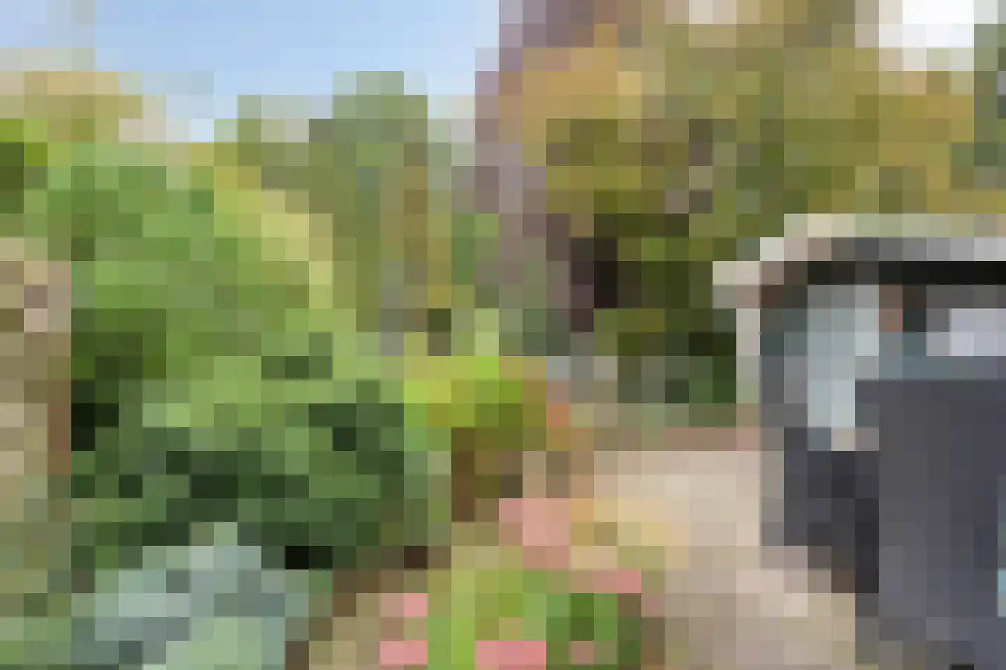 Semskade 39 Stadskanaal thumbnail 33