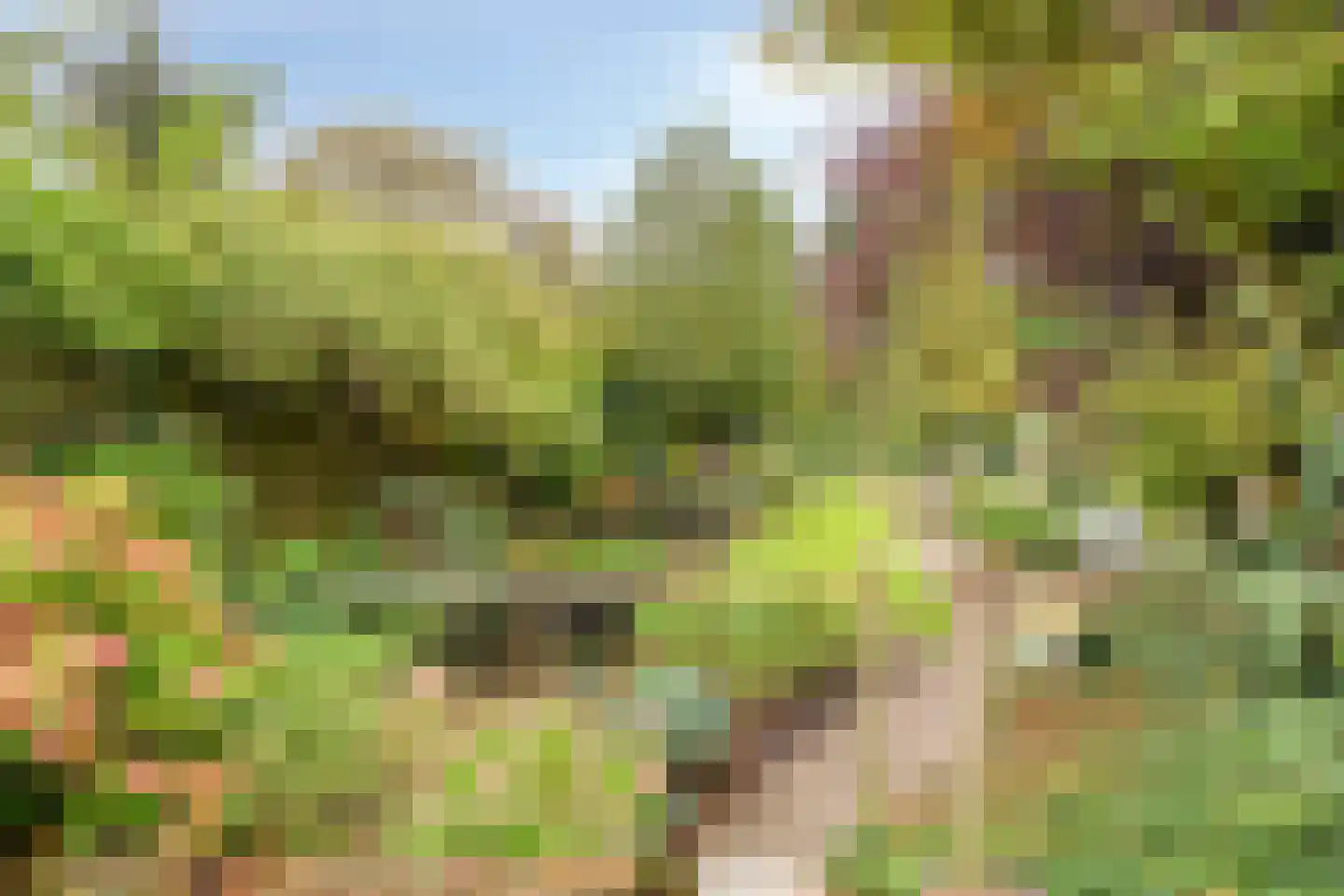Semskade 39 Stadskanaal thumbnail 35