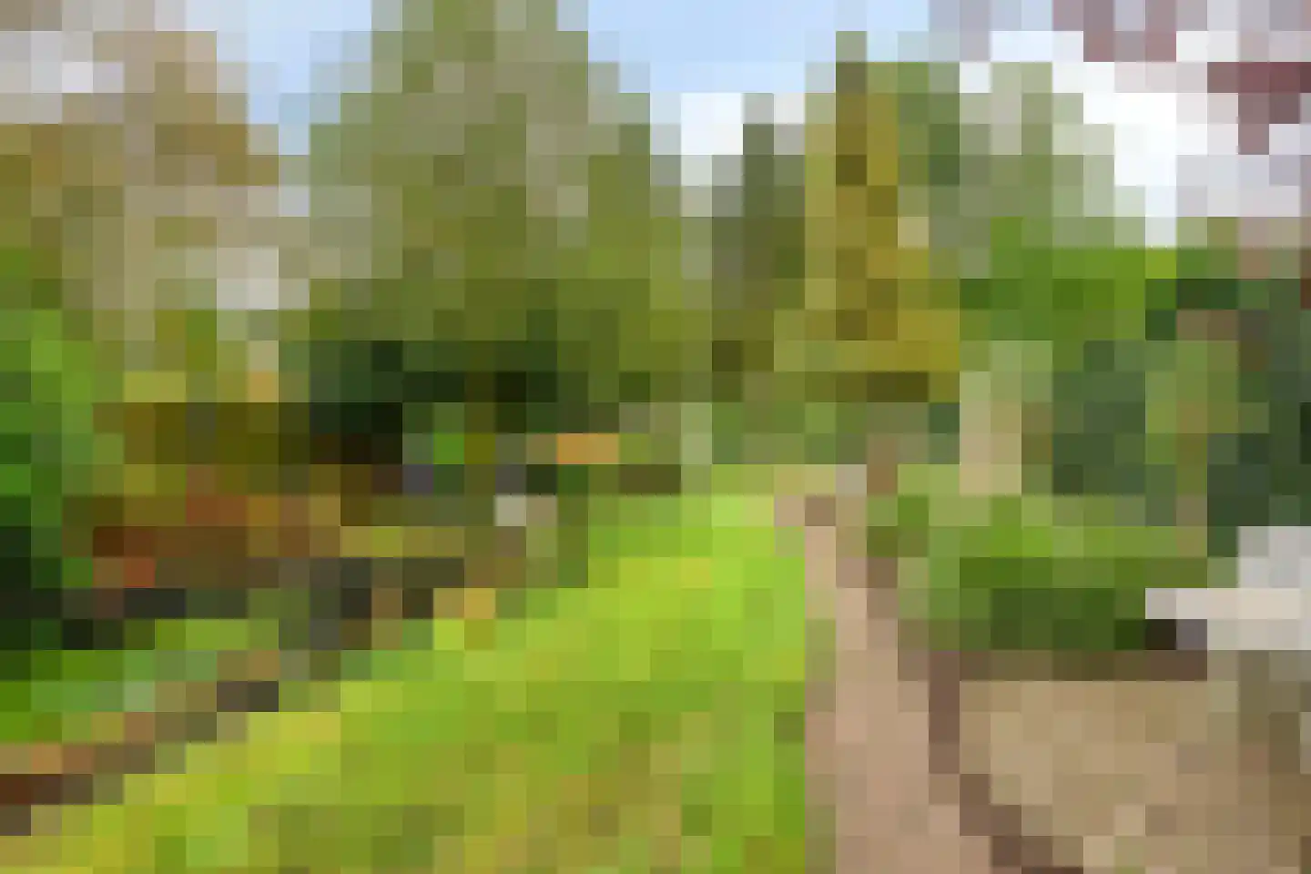 Semskade 39 Stadskanaal thumbnail 36
