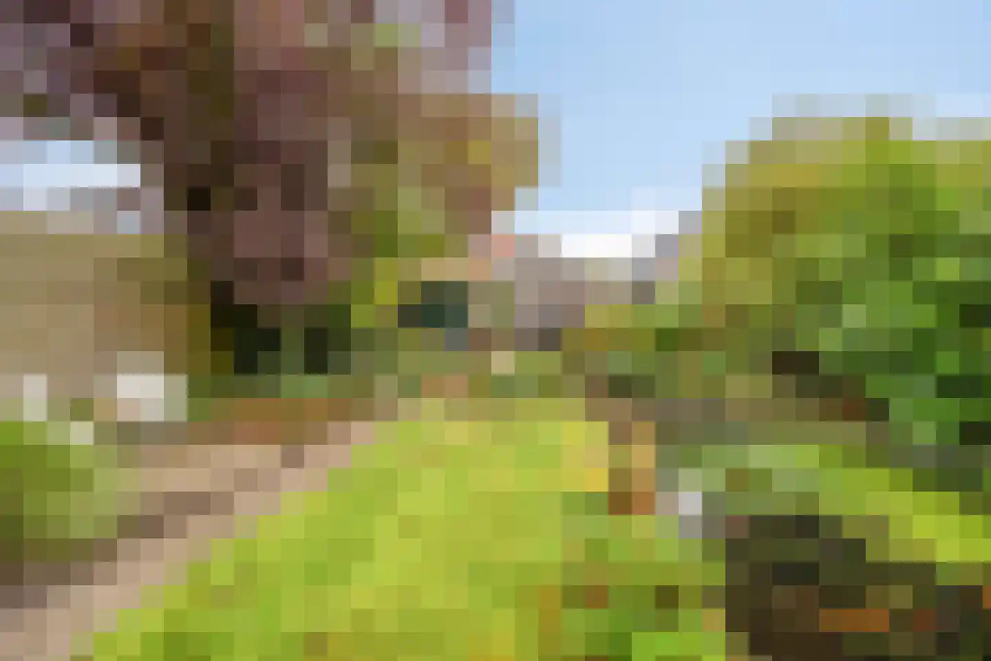 Semskade 39 Stadskanaal thumbnail 37