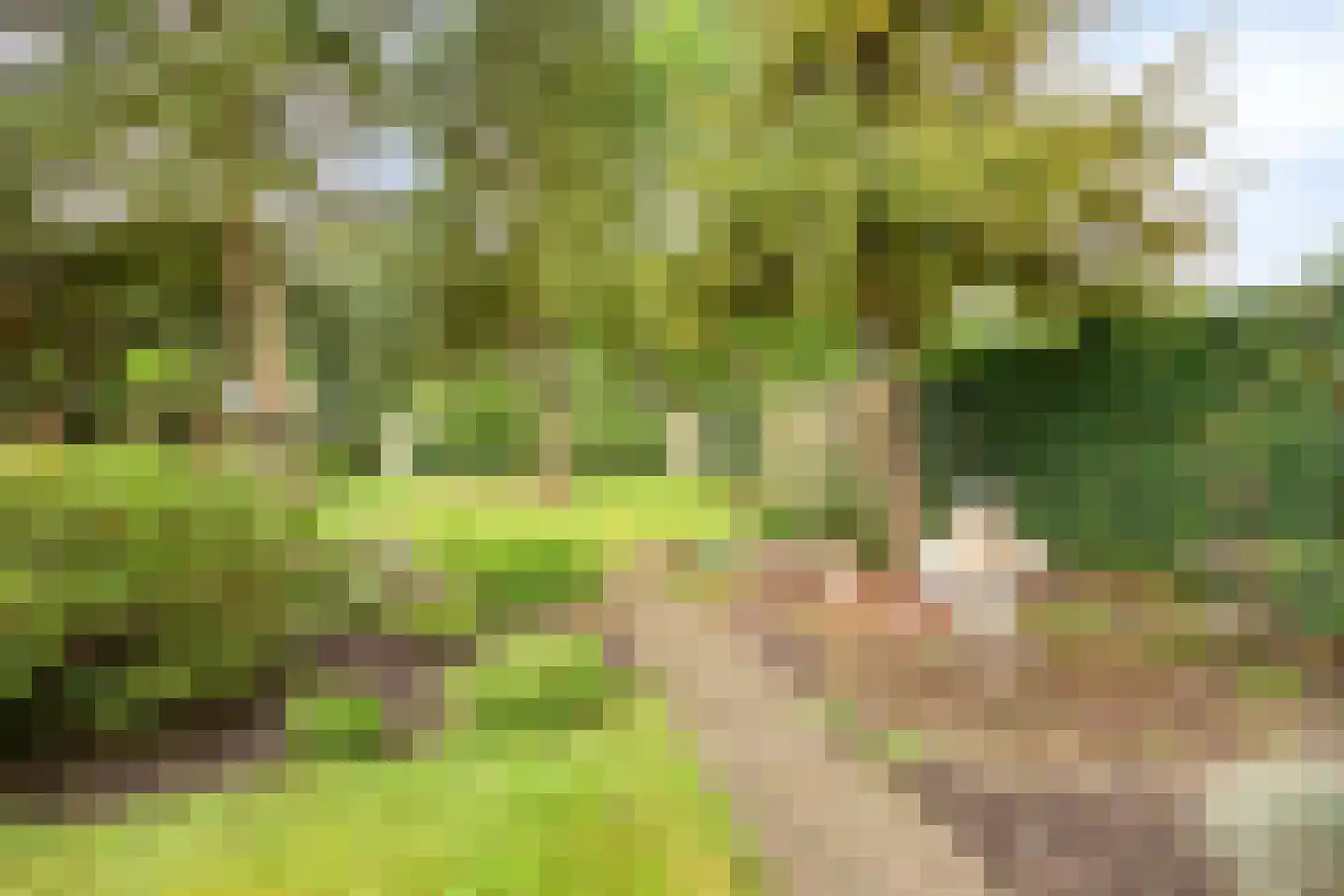 Semskade 39 Stadskanaal thumbnail 38