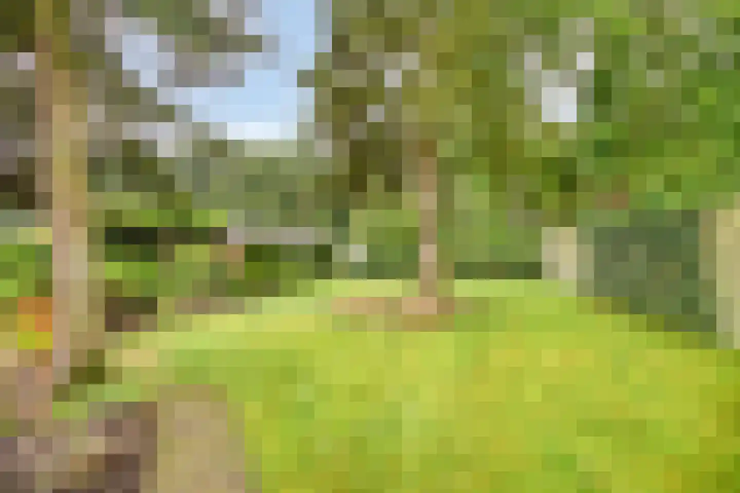 Semskade 39 Stadskanaal thumbnail 39