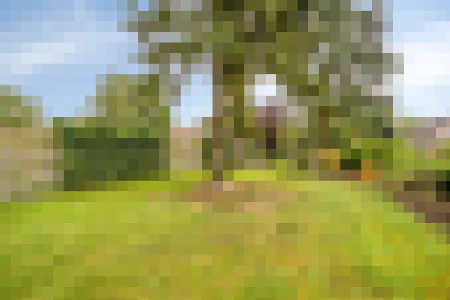 Semskade 39 Stadskanaal thumbnail 40