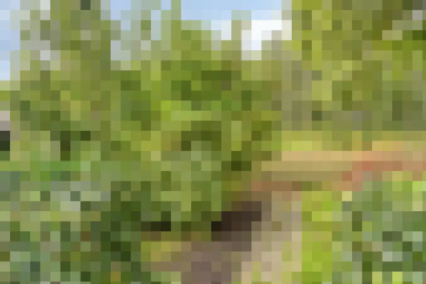 Semskade 39 Stadskanaal thumbnail 41