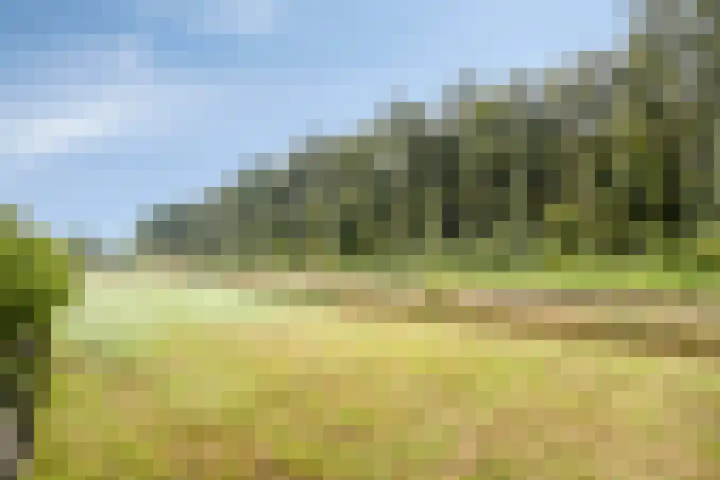 Semskade 39 Stadskanaal thumbnail 42