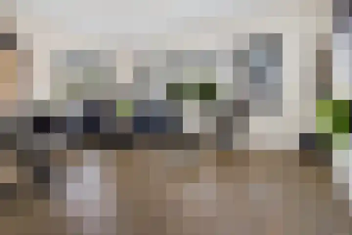 Semskade 51 Stadskanaal thumbnail 12