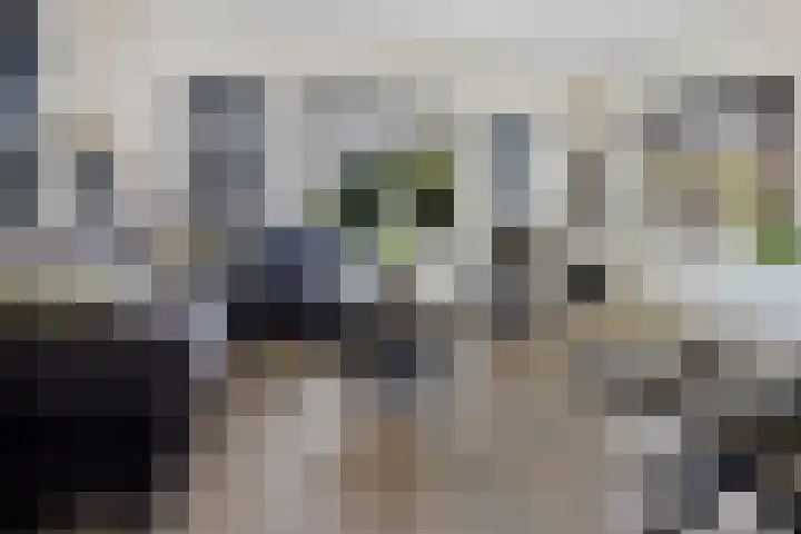 Semskade 51 Stadskanaal thumbnail 13