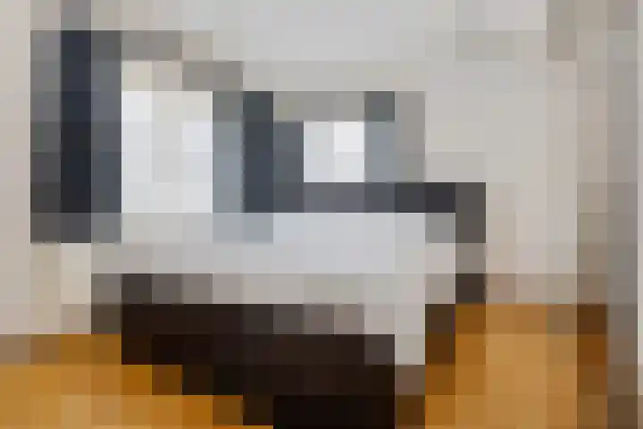 Semskade 51 Stadskanaal thumbnail 21