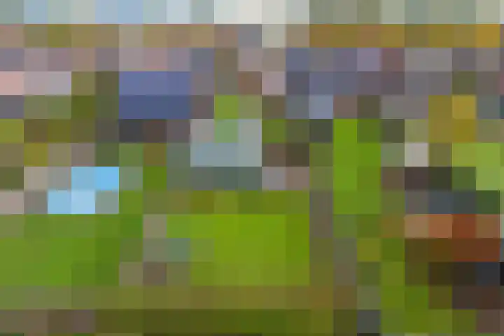 Semskade 51 Stadskanaal thumbnail 4