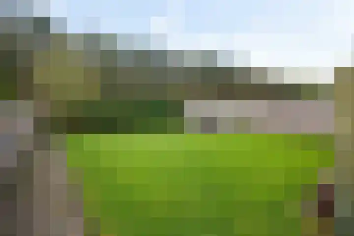 Semskade 51 Stadskanaal thumbnail 41
