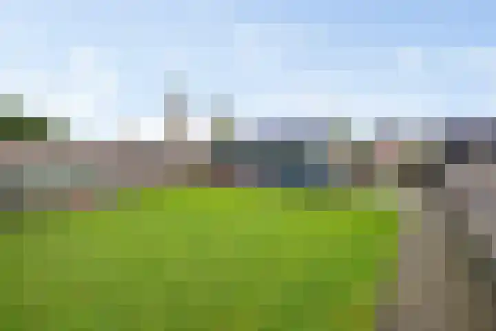 Semskade 51 Stadskanaal thumbnail 42