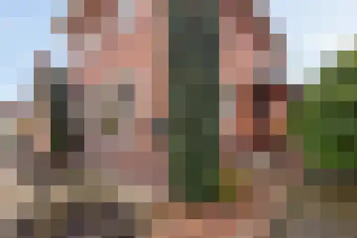 Semskade 51 Stadskanaal thumbnail 44