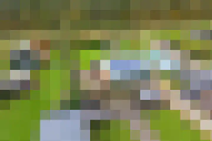 Semskade 51 Stadskanaal thumbnail 52