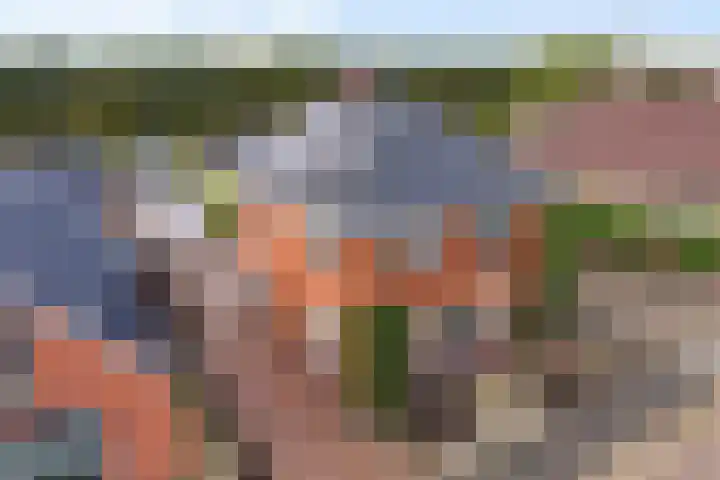 Semskade 51 Stadskanaal thumbnail 53
