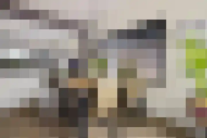 Semskade 51 Stadskanaal thumbnail 7