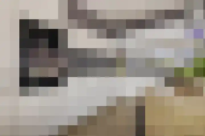 Semskade 51 Stadskanaal thumbnail 8
