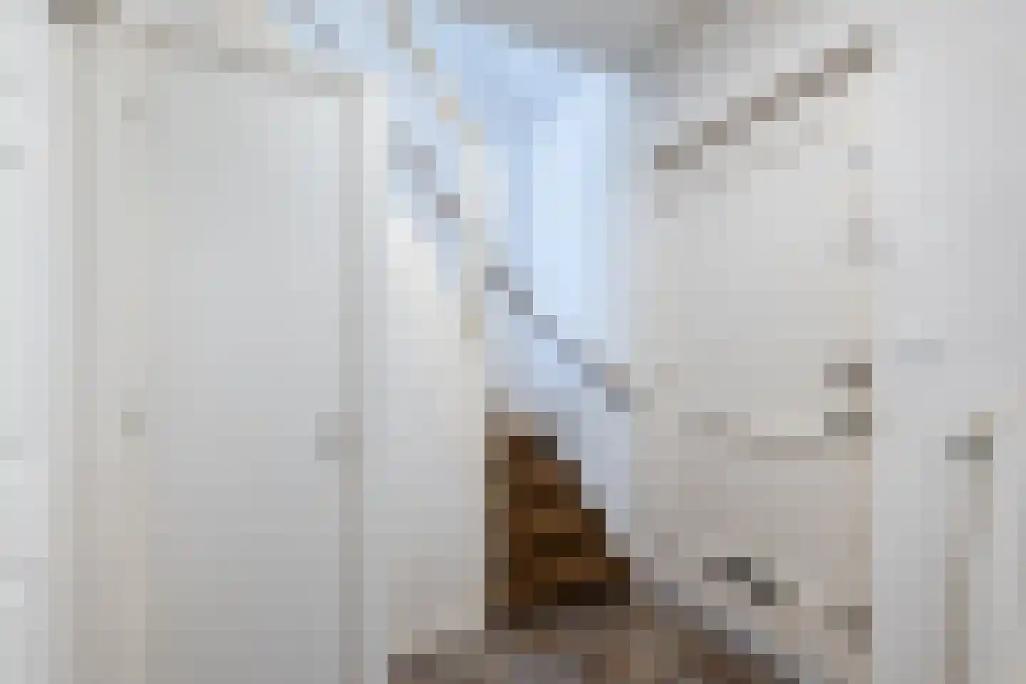 Semskade 81 Stadskanaal thumbnail 15