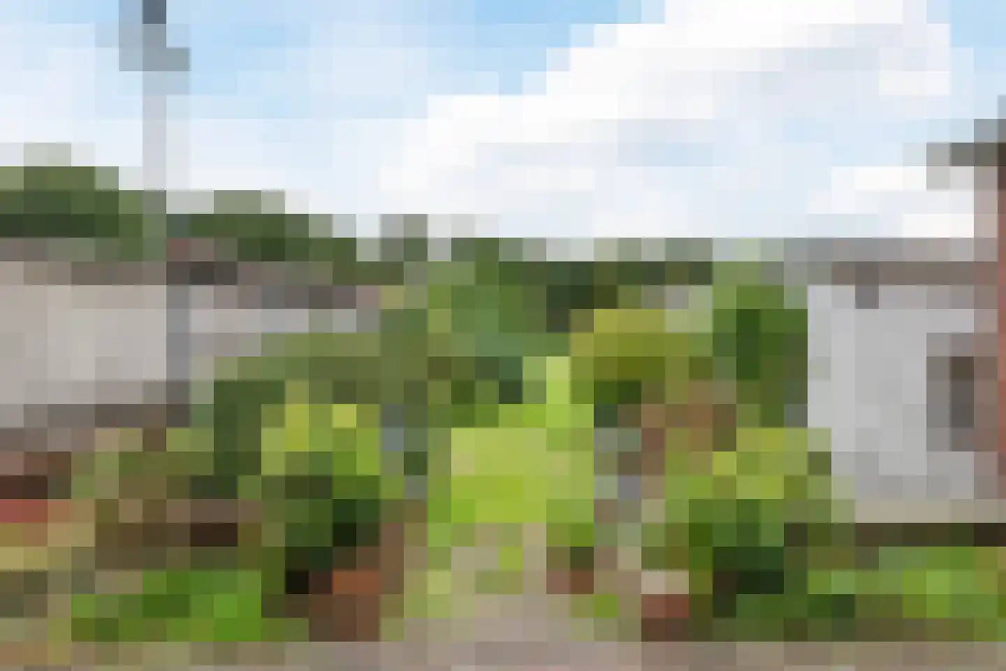 Semskade 81 Stadskanaal thumbnail 28