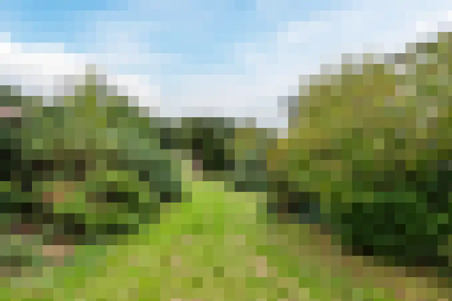 Semskade 81 Stadskanaal thumbnail 30