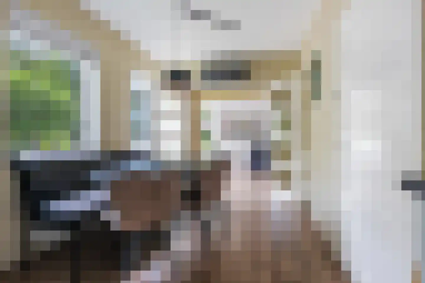Semsstraat 13 Eexterveenschekanaal thumbnail 16