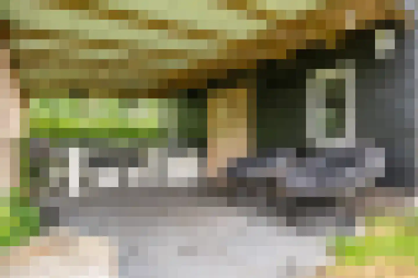 Semsstraat 13 Eexterveenschekanaal thumbnail 37