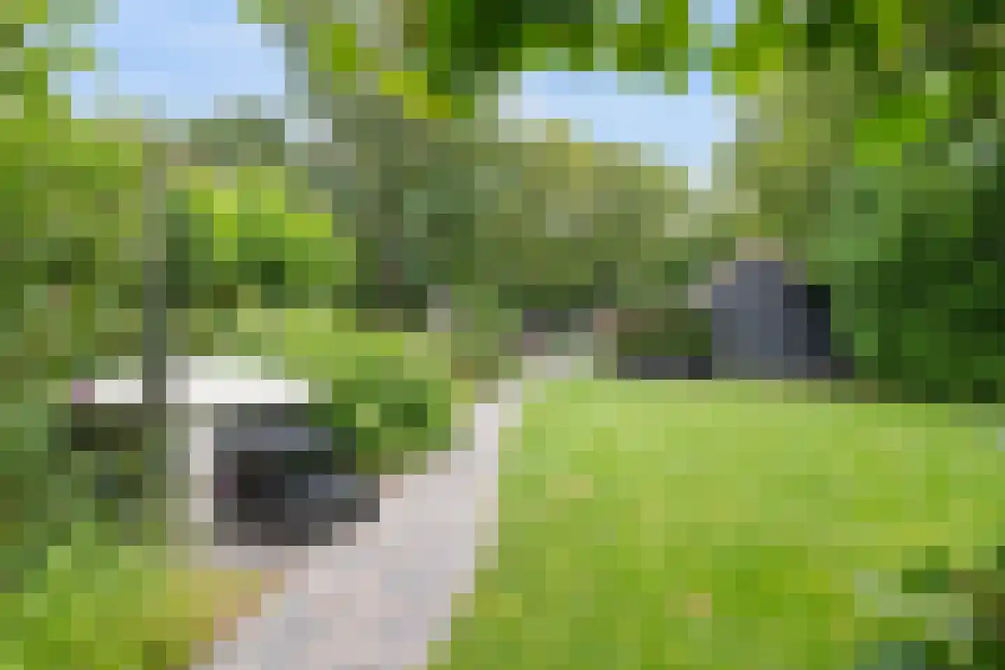 Semsstraat 13 Eexterveenschekanaal thumbnail 4
