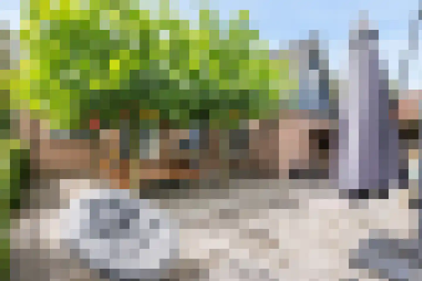 Semsstraat 13 Eexterveenschekanaal thumbnail 44