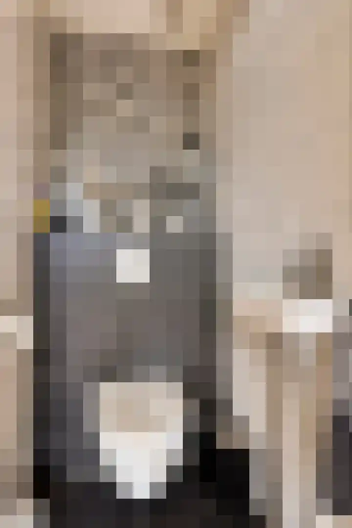 Semsstraat 15 Eexterveenschekanaal thumbnail 10