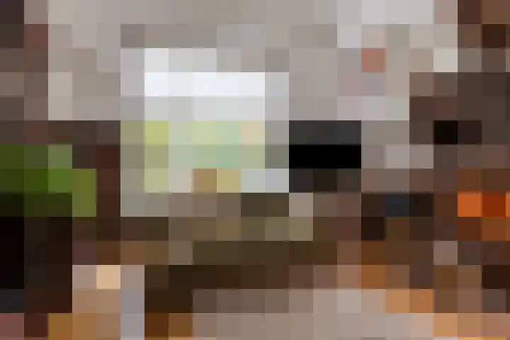 Semsstraat 15 Eexterveenschekanaal thumbnail 11