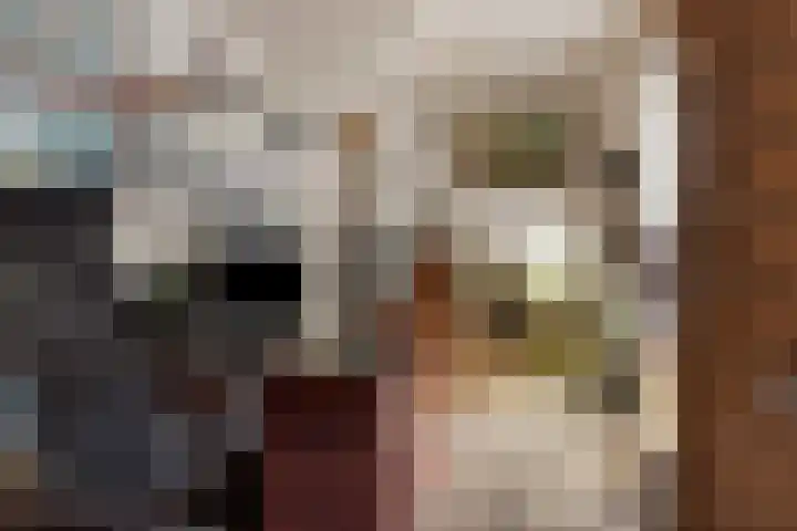 Semsstraat 15 Eexterveenschekanaal thumbnail 17