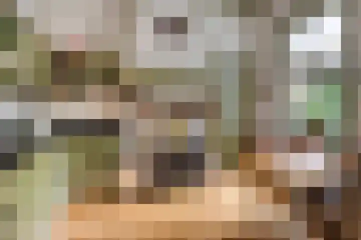 Semsstraat 15 Eexterveenschekanaal thumbnail 18