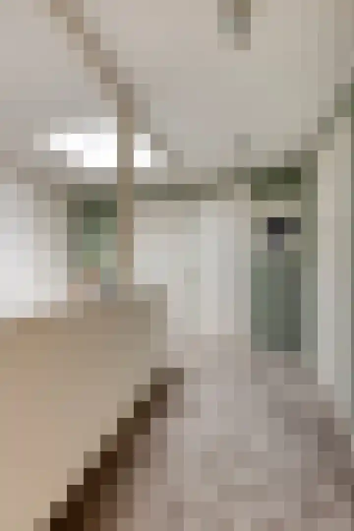 Semsstraat 15 Eexterveenschekanaal thumbnail 22