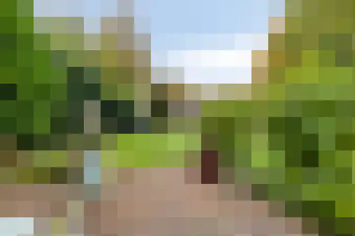 Semsstraat 15 Eexterveenschekanaal thumbnail 41