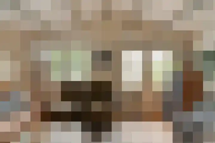 Semsstraat 15 Eexterveenschekanaal thumbnail 43