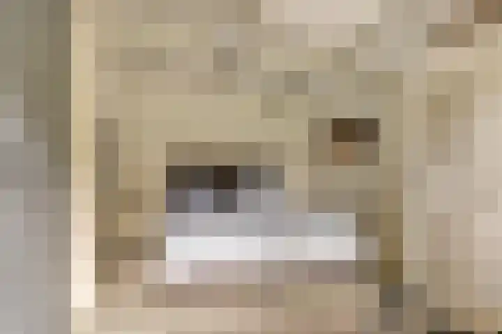 Semsstraat 15 Eexterveenschekanaal thumbnail 44