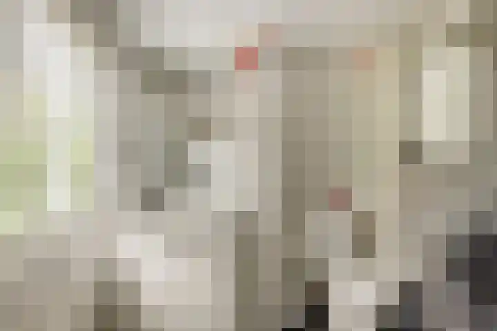 Semsstraat 15 Eexterveenschekanaal thumbnail 45