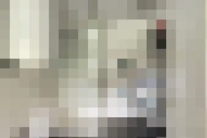 Semsstraat 15 Eexterveenschekanaal thumbnail 46