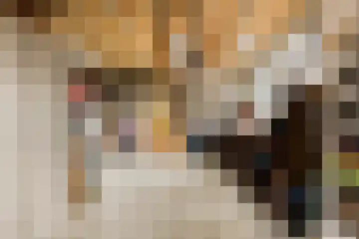 Semsstraat 15 Eexterveenschekanaal thumbnail 47