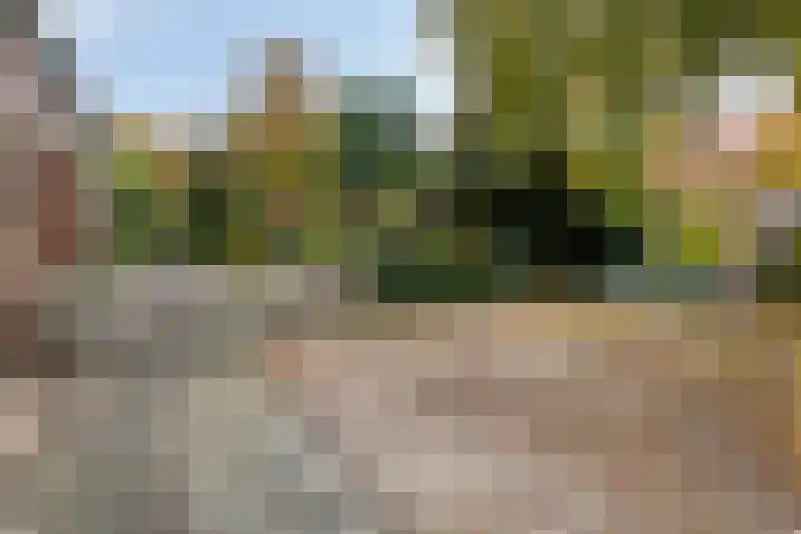 Semsstraat 15 Eexterveenschekanaal thumbnail 6