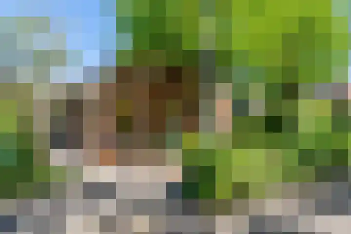 Semsstraat 155 Eexterveenschekanaal thumbnail 33