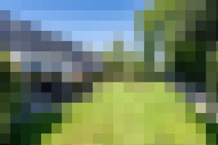 Semsstraat 155 Eexterveenschekanaal thumbnail 36