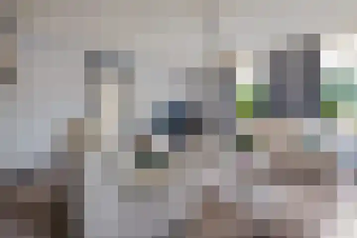 Semsstraat 17 Eexterveenschekanaal thumbnail 10