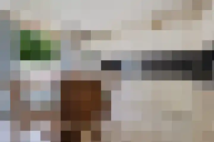 Semsstraat 17 Eexterveenschekanaal thumbnail 17