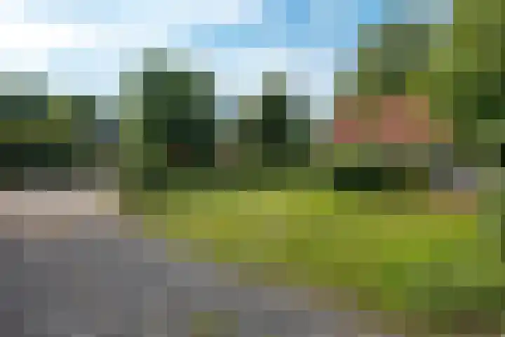 Semsstraat 17 Eexterveenschekanaal thumbnail 29