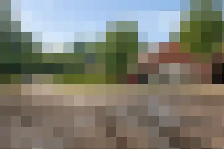 Semsstraat 17 Eexterveenschekanaal thumbnail 31