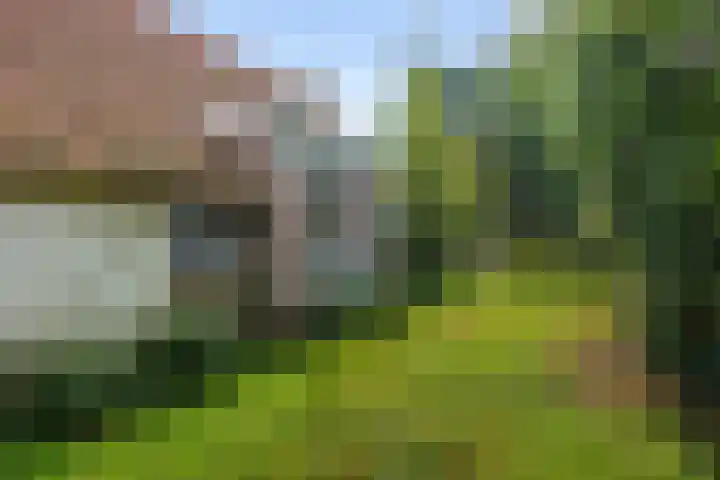 Semsstraat 17 Eexterveenschekanaal thumbnail 33