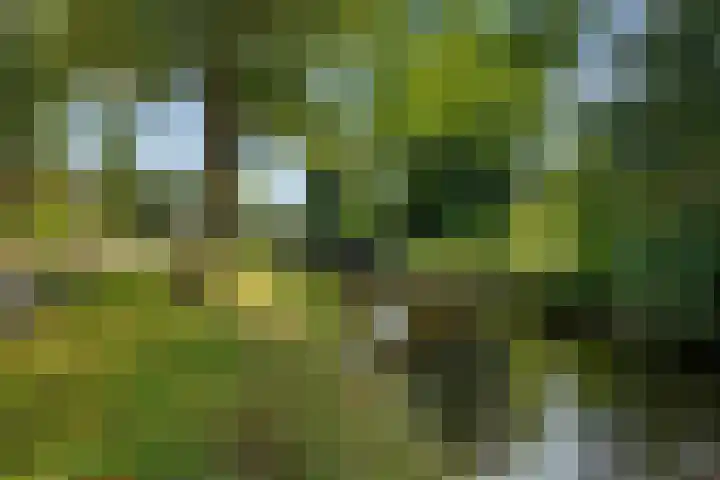Semsstraat 17 Eexterveenschekanaal thumbnail 4
